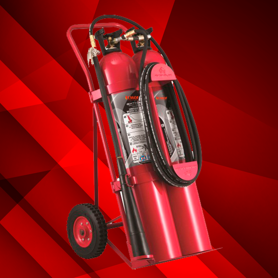 EM1